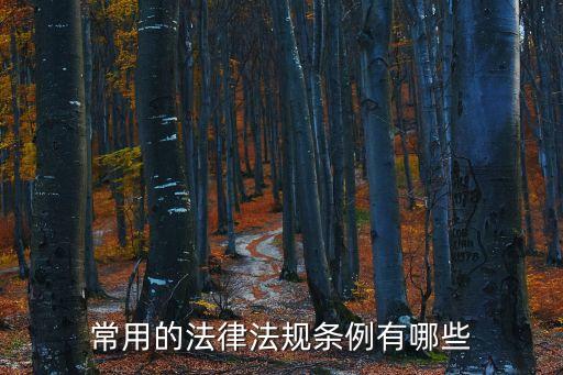 法律規(guī)定的必備條款，常用的法律法規(guī)條例有哪些