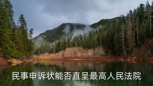 可以直接向最高院申訴嗎，民事申訴狀能否直呈最高人民法院