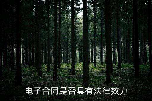 電子合同是否具有法律效力