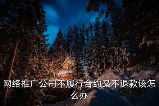 網(wǎng)絡(luò)推廣公司不履行合約又不退款該怎么辦