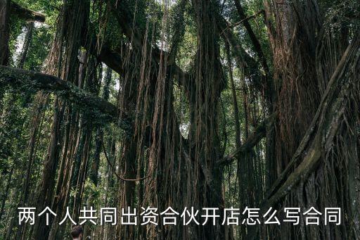 二人合伙投資做生意合同怎么寫，兩個人共同出資合伙開店怎么寫合同