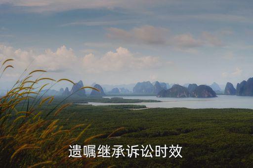 遺囑繼承的時效從什么時候開始，繼承遺產(chǎn)的時效怎么界定