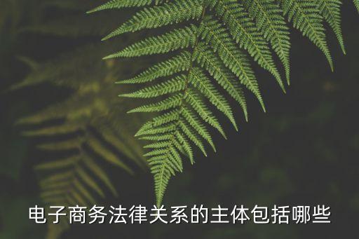電子商務(wù)法律關(guān)系的主體包括哪些