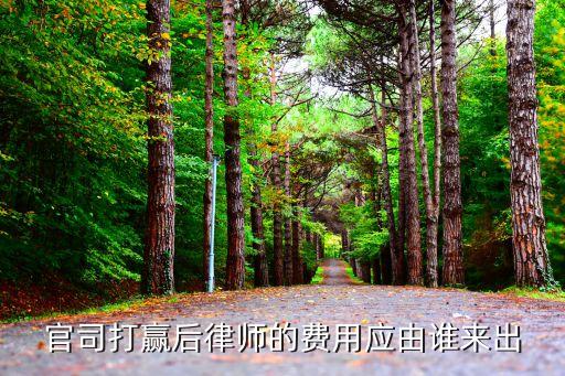 經(jīng)濟(jì)糾紛官司打贏了律師費(fèi)誰(shuí)出，官司打贏后律師的費(fèi)用應(yīng)由誰(shuí)來(lái)出
