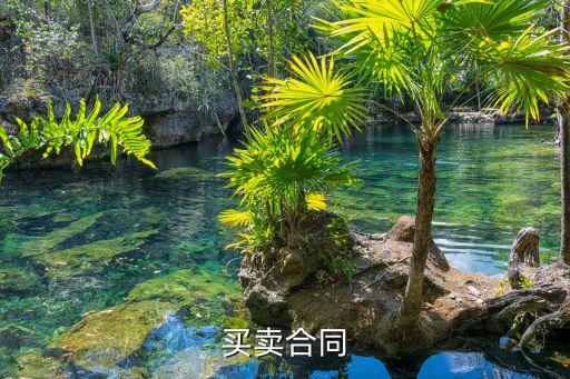 買賣合同