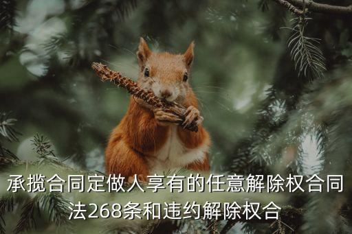 任意解除權(quán)法條，委托合同中任意解除權(quán)限制條款是否有效