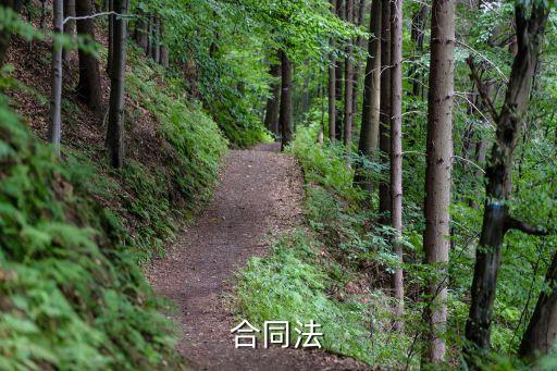 合同法2002版，