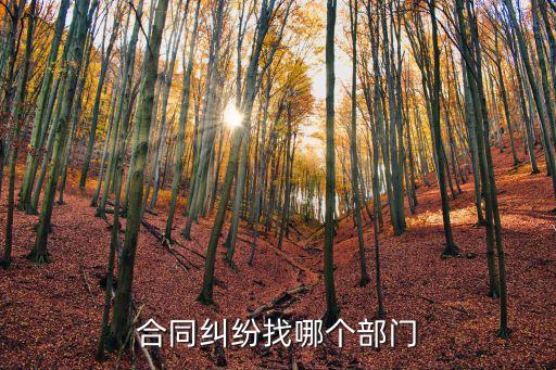 合同糾紛怎么處理找哪個(gè)部門解決，商業(yè)合同糾紛找哪個(gè)部門處理