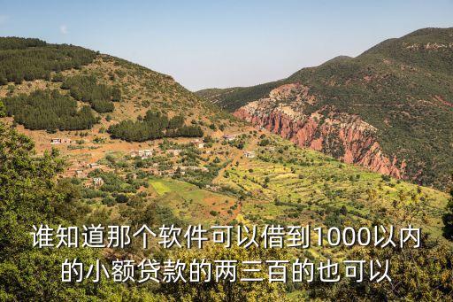 10003000的小額貸款，那個銀行可以申請無抵押小額貸款10003000元的