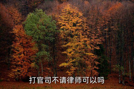 打官司不請律師可以嗎