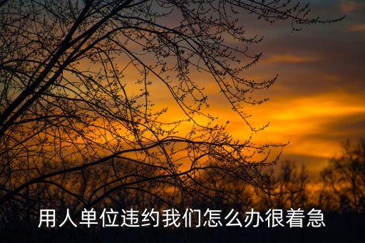 被公司起訴違約怎么辦理，用人單位違約我們?cè)趺崔k很著急