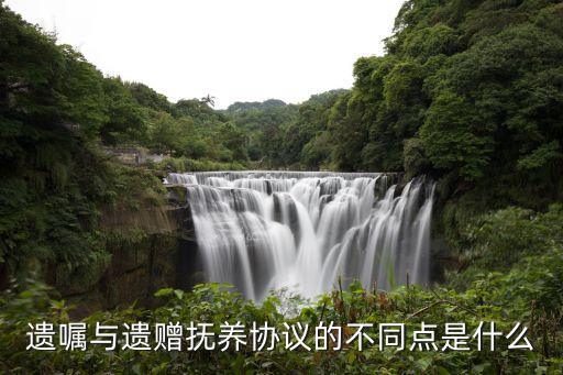 遺贈(zèng)協(xié)議與遺贈(zèng)扶養(yǎng)協(xié)議的區(qū)別，遺贈(zèng)撫養(yǎng)協(xié)議和遺贈(zèng)扶養(yǎng)協(xié)議一樣么急急急