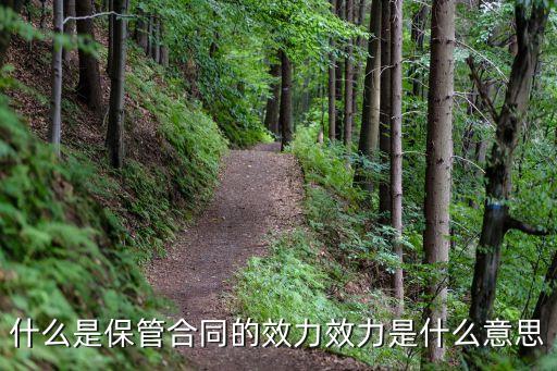 什么是保管合同的效力效力是什么意思