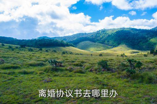 離婚協(xié)議書(shū)在哪里弄，離婚協(xié)議書(shū)在哪拿