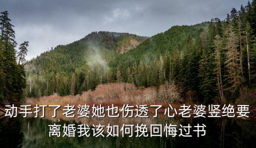 動手打了老婆她也傷透了心老婆豎絕要離婚我該如何挽回悔過書