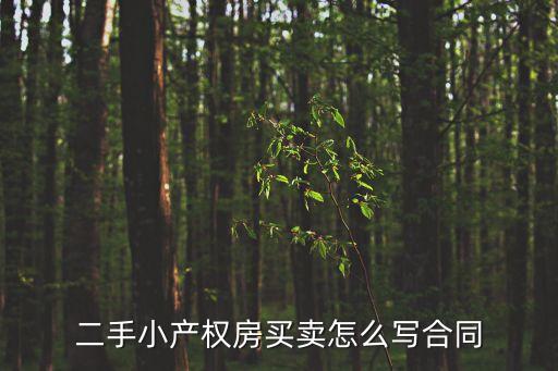 二手小產(chǎn)權(quán)房買賣怎么寫合同