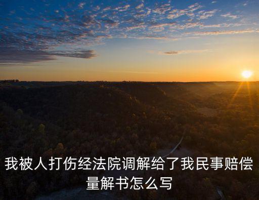 我被人打傷經法院調解給了我民事賠償量解書怎么寫