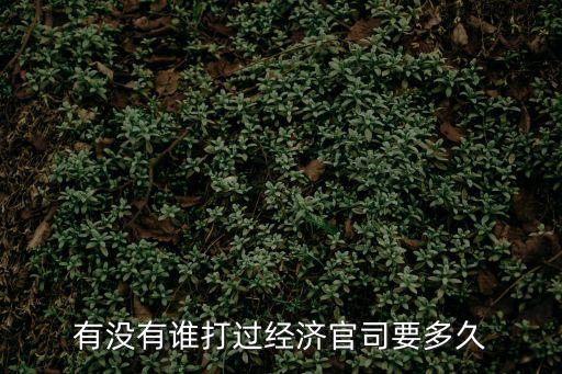 有沒(méi)有誰(shuí)打過(guò)經(jīng)濟(jì)官司要多久