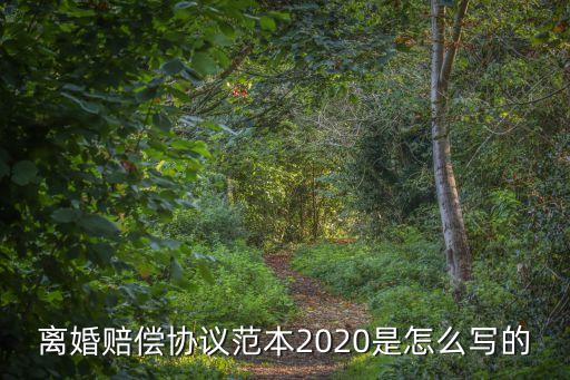手寫離婚協(xié)議書模板2020，離婚協(xié)議書范文