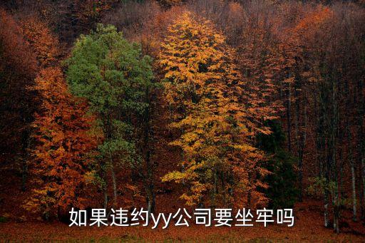 如果違約yy公司要坐牢嗎