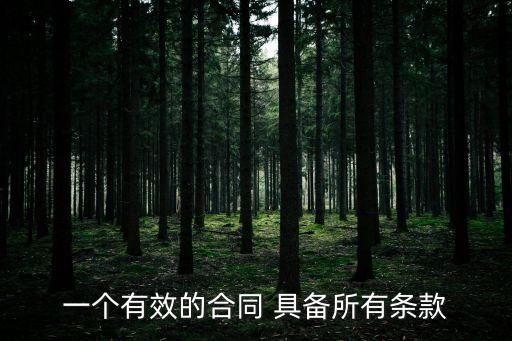 一個有效的合同 具備所有條款