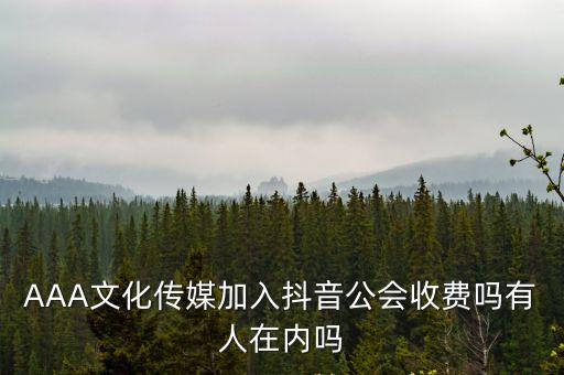 傳媒公司如何入駐抖音公會，AAA文化傳媒加入抖音公會收費(fèi)嗎有人在內(nèi)嗎