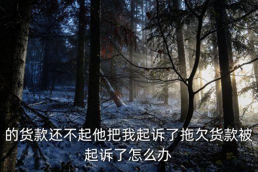 貨款糾紛被起訴怎么處理，欠貨款被起訴怎么辦