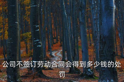 不簽勞動(dòng)合同最高罰款，公司未簽勞動(dòng)合同用人公司該接受什么的處罰