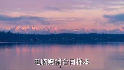 電腦購(gòu)銷合同樣本