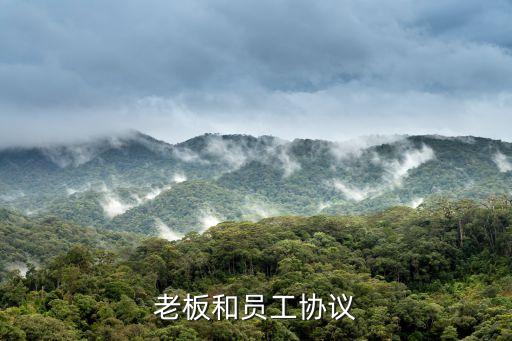 老板與員工合同協(xié)議書，員工與老板協(xié)議書怎么寫