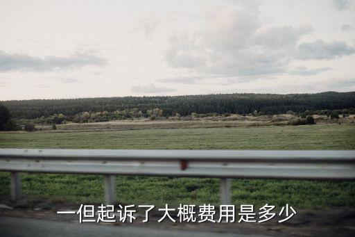 一但起訴了大概費用是多少