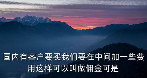 國內(nèi)有客戶要買我們要在中間加一些費用這樣可以叫做傭金可是