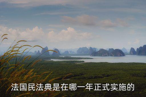 法國民法典是在哪一年正式實施的