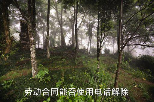電話通知解除合同有效嗎，電話通知更改合同有效嗎