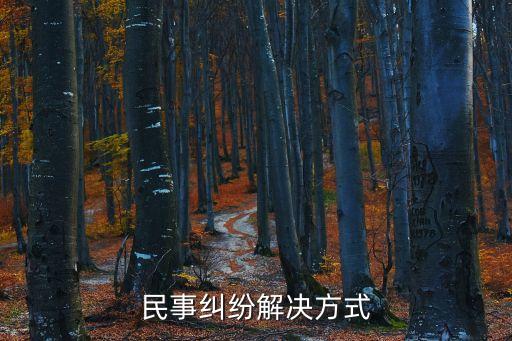 民事糾紛的解決方案，民事糾紛怎么解決