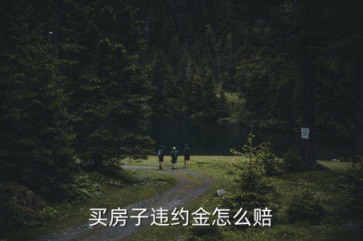 買房子違約金怎么賠