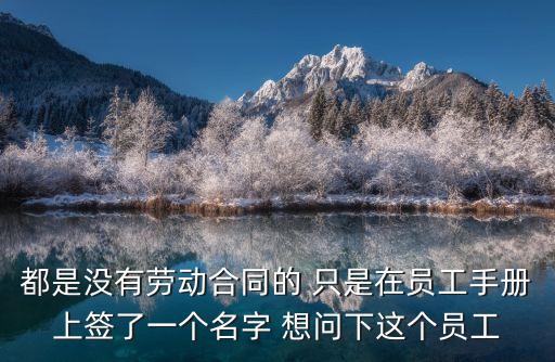 都是沒(méi)有勞動(dòng)合同的 只是在員工手冊(cè)上簽了一個(gè)名字 想問(wèn)下這個(gè)員工