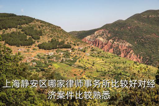 上海經(jīng)濟(jì)案件律師辯護(hù)律師，上海比較好的經(jīng)濟(jì)律師