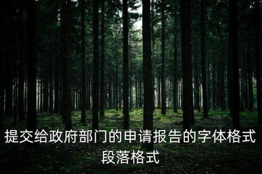 提交給政府部門的申請(qǐng)報(bào)告的字體格式段落格式