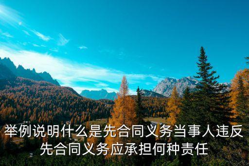 先合同義務包括哪些，什么叫先合同義務