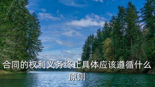 合同的權(quán)利義務(wù)終止具體應(yīng)該遵循什么原則