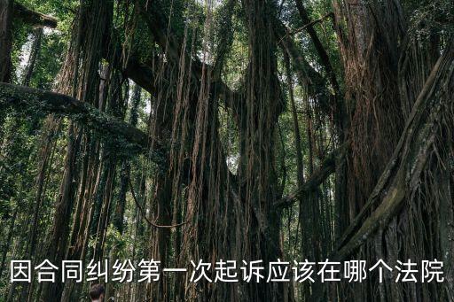 合同糾紛立案地點，合同糾紛起訴地點應(yīng)該在哪兒