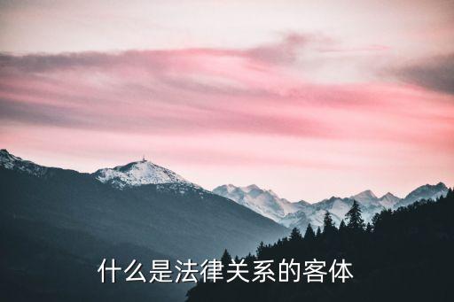 什么是法律關(guān)系的客體