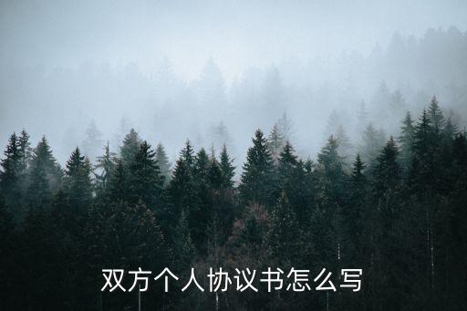 雙方個人協(xié)議書怎么寫