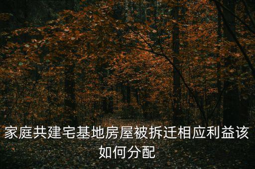 家庭共建宅基地房屋被拆遷相應(yīng)利益該如何分配