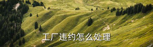 工廠違約怎么處理