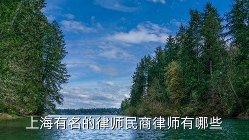 上海經(jīng)濟(jì)案件知名律師咨詢，上海比較好的經(jīng)濟(jì)律師