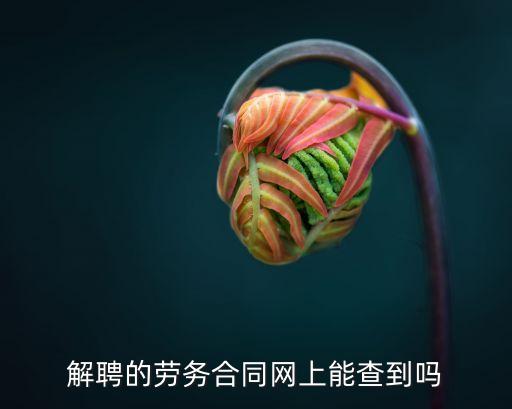 解聘的勞務(wù)合同網(wǎng)上能查到嗎