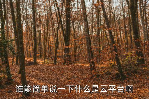 上上簽電子簽約云平臺(tái)是什么，誰(shuí)能簡(jiǎn)單說(shuō)一下什么是云平臺(tái)啊