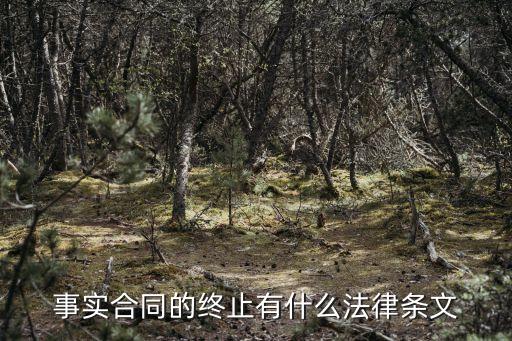 事實(shí)合同的終止有什么法律條文